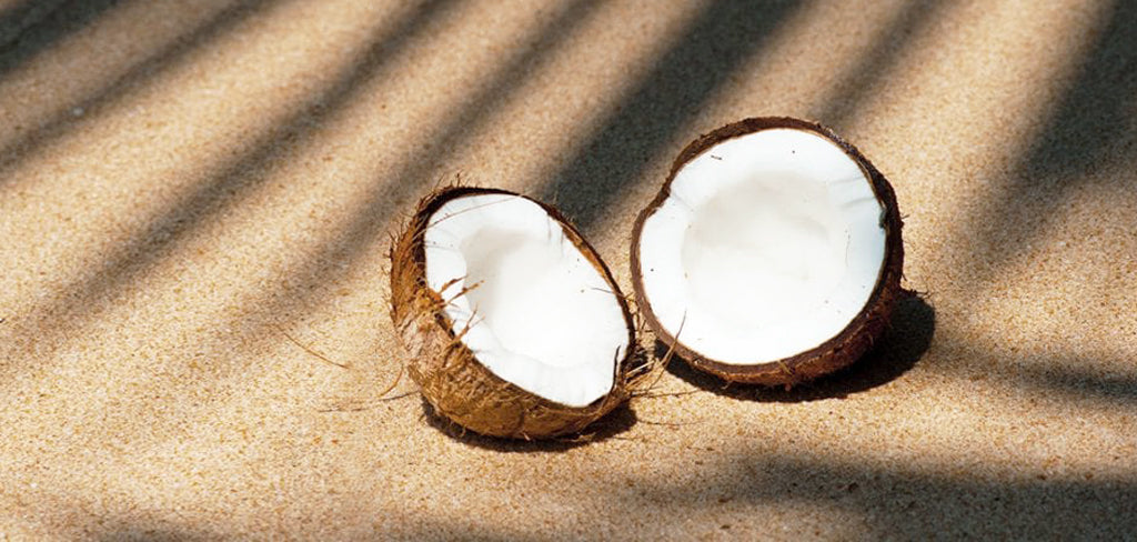 El uso del aceite de coco en tu rutina de belleza